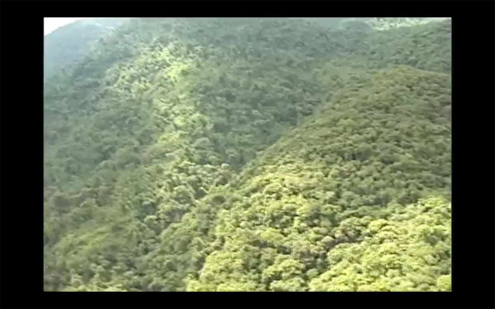 eco_05-1